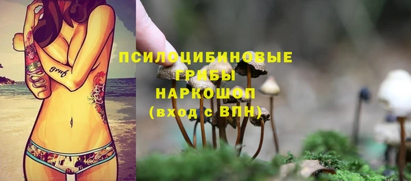 прущий лед Алзамай