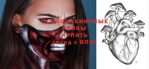 прущий лед Алзамай